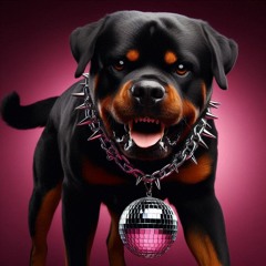 Migos - Bad and Boujee (Dumbbell Disco Remix)