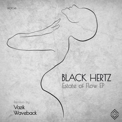 Black Hertz - I can see (Vazik Remix)