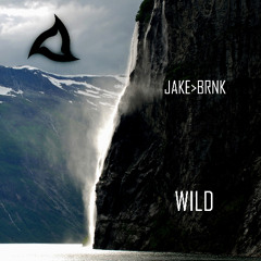 Jake Brink - Wild