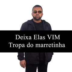 DEIXAS ELAS VIM - TROPA DO MARRETINHA