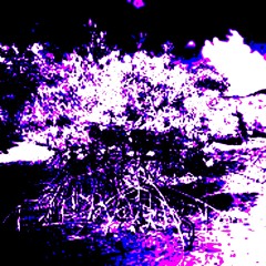A weird dream