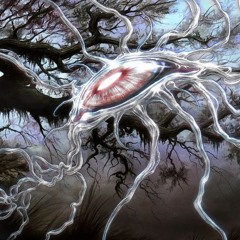 FOREST FIRE
