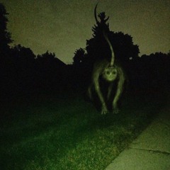 לפעמים אני פשוט מצטער על זה