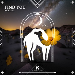 Nick.Sal - Find You (Cafe De Anatolia)