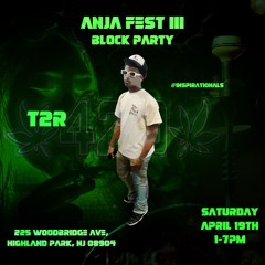 4/20 PERFORMANCE T2MIX
