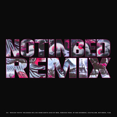 honest times (notinbed Remix)