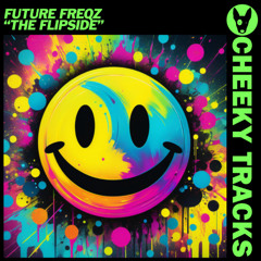 Future FreQz - The Flipside (Original Mix)