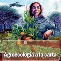 Agroecología a la carta, un libro que compila experiencias. Ing. Claudio Sarmiento
