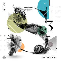 PREMIERE: Damaskus - Time For Action