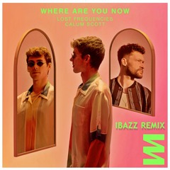 Lost Frequencies Ft. Calum Scott - Where Are You Now (Ibazz Remix) [FREE DOWNLOAD]