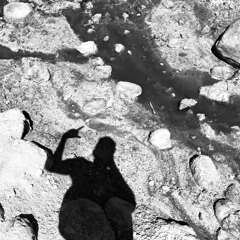 Out of the Frying Pan