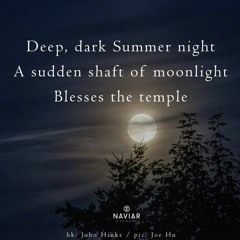 Dark Summer Night [NaviarHaiku508]