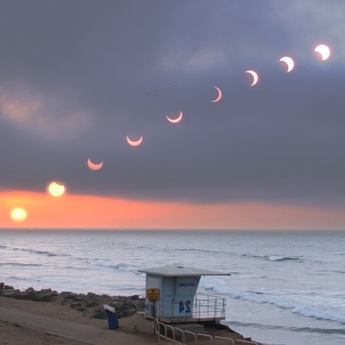 Developing Man (Seagull; synths, Oddrun; vocals, Peter; lyric/poetry, David; guitars, narration)