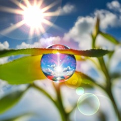 Two Sides Of A Droplet