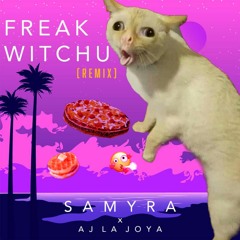 Freak Witchu (TikTok Remix) - Samrya X AJ La Joya