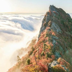 Elevate