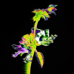 Pareal - OCIMUM (Basilicum Sanctum Prophecy) - exploring extract