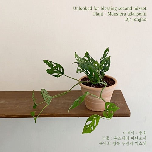 Unlooked for blessing sencond mix