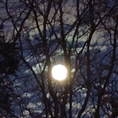 God Gon Save Us (Freestyle)