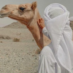 اسعد البطحري  الهجن