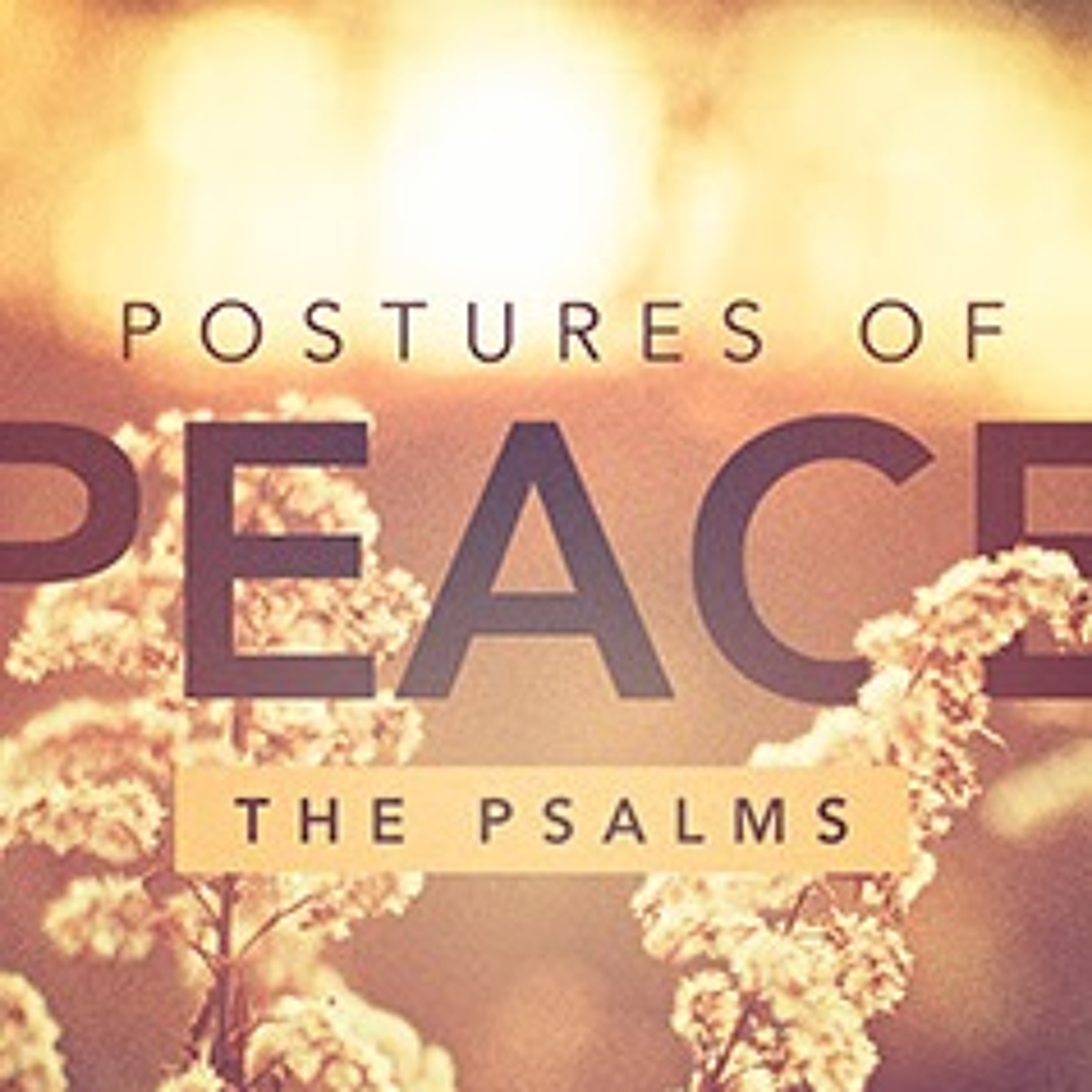 Boone United Methodist Church sermons (main sanctuary)