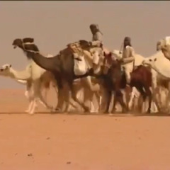 مير والله ماعلى الدنيا طرى كان مالك مع هل الذيدان ذود