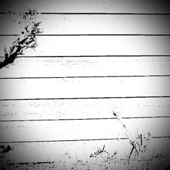 Fill in the blanks spring