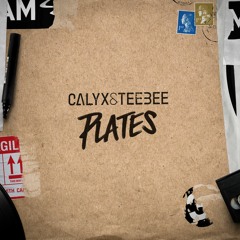 Calyx & TeeBee 'Mind At Ease' [RAM Records]