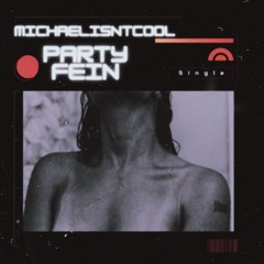 party fein