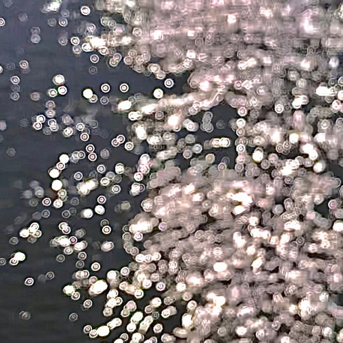 00 - 理性