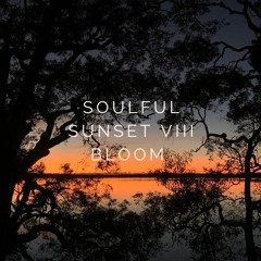 Soulful Sunset VIII - Bloom