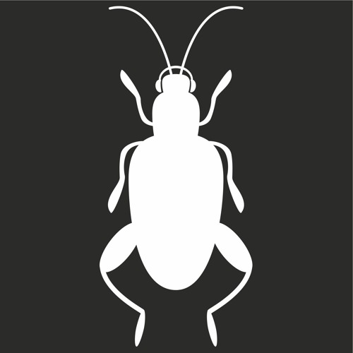Fucking beetles