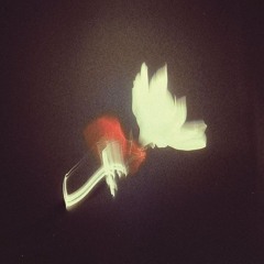 XS - josman flip w/ @andrzxz