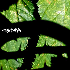 ASTMA - a lot of kangaroos after me now