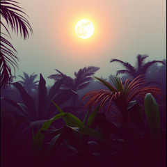 canopy