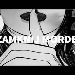 2T4 - ZAMKNIJ MORDĘ | (2T4.PL)