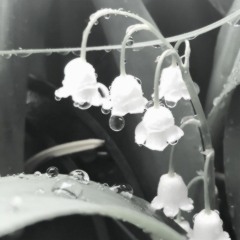 Relaxed Scene - James Clarke    ( slowed + reverb )