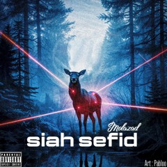 Motazad-Siah Sefid