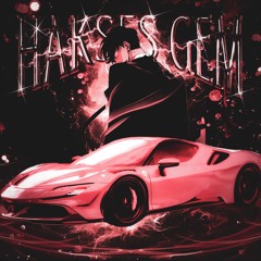 HAKSES GEM (Slowed & Reverb)