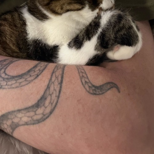 u’re so boring (prod. bodymind)