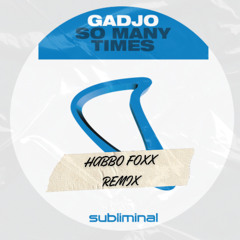 Gadjo - So Many Times (Habbo Foxx Remix)