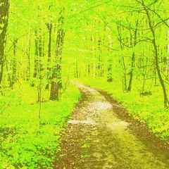 who_to_trust.mp3 (feat. flynsober)