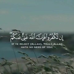 إن تكفروا فإن الله غني عنكم... | سورة الزمر [٧-٣١] | الدكتور محمد رفعت