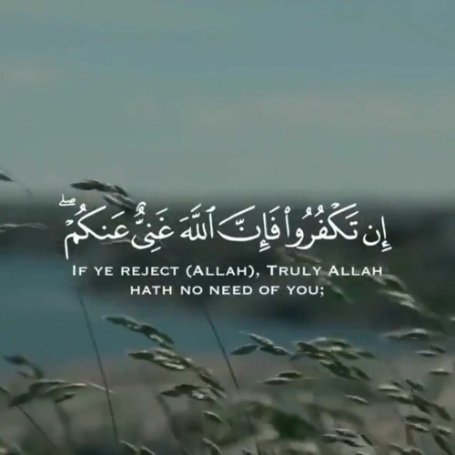 إن تكفروا فإن الله غني عنكم... | سورة الزمر [٧-٣١] | الدكتور محمد رفعت