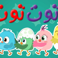 توت توت قطر صغنتوت