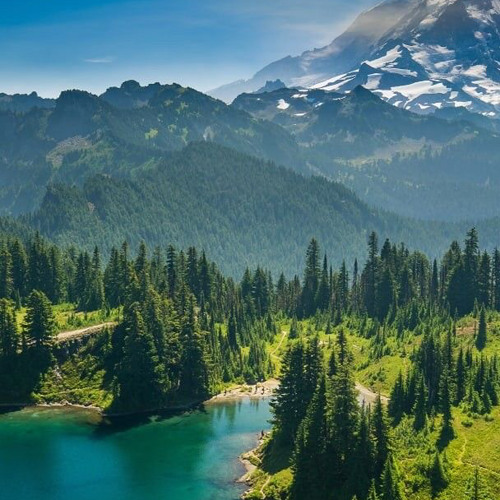 ‎⁨القارئ عمر الدريويز | ما تيسر من سورة الروم