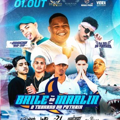 Sequência dos Tubarão - DJ MARLIN DA ORLA & DJ BRUNO GAMA ( feat. MC 2L DO CT )