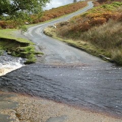 This Ancient Road.