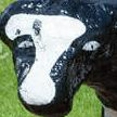 Funky Cow