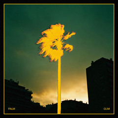 PalmGum